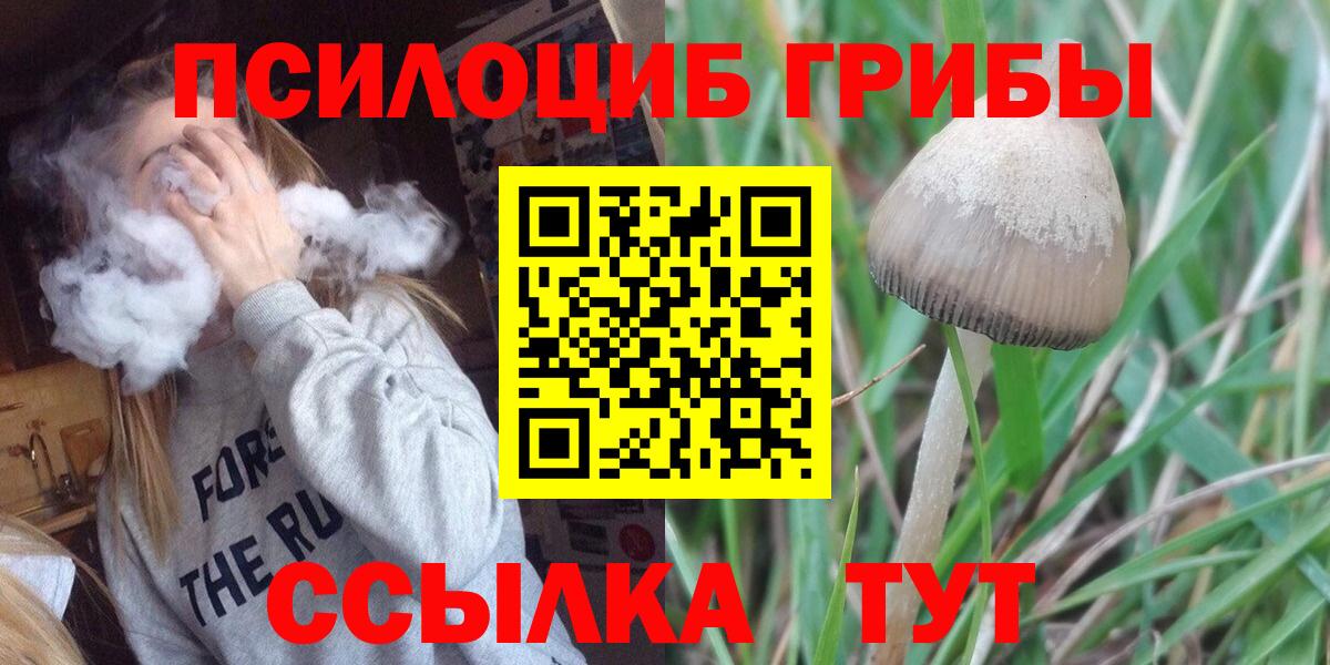 Калуга  Галлюциногенные грибы мицелий  Псилоцибиновые грибы мицелий  Вход с VPN 